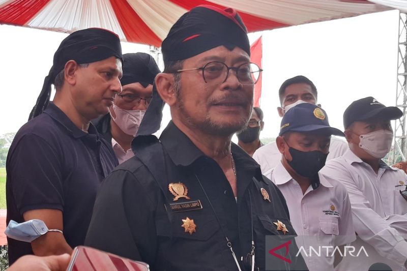 1655971057189270.jpg Indonesia segera lakukan ekspor beras ke tiga negara.jpg