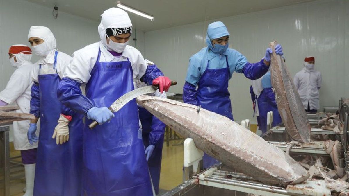 我国继续加大对中国的海洋和渔业产品出口力度