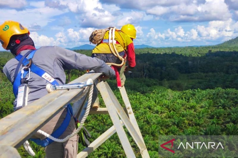 1656318269436645.jpg PT PLN siapkan energi untuk industri pertambangan biji besi di Kalsel.jpg