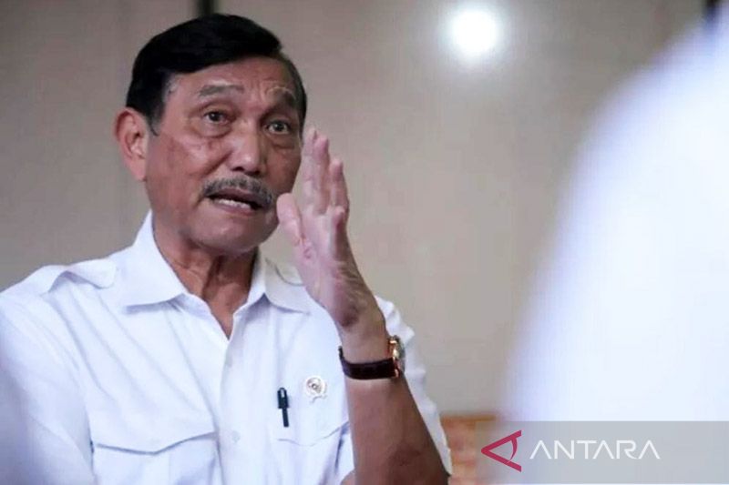 1657009766975097.jpeg Luhut minta Kemendag percepat ekspor CPO guna perbaiki harga TBS.jpeg
