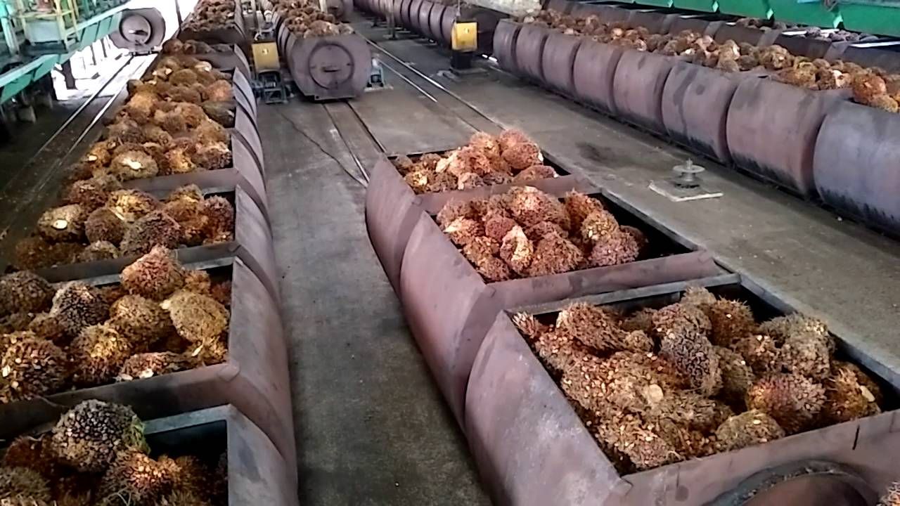 1657614371644622.jpg Gapki Tangki CPO sejumlah PKS di Kalimantan penuh.jpg