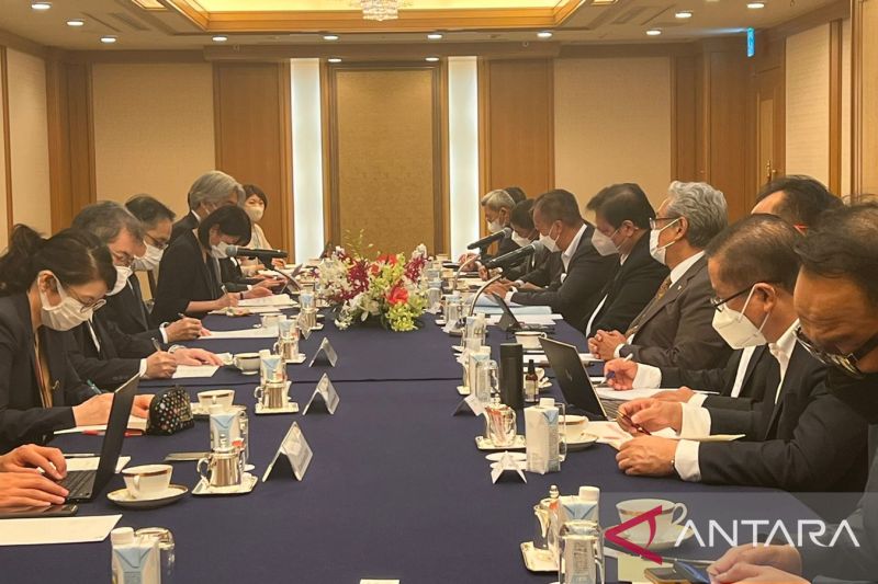 艾尔朗卡邀请日本丸红对Sanur医疗卫生经济特区进行投资