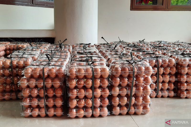 1661244070608215.jpg Kenaikan harga telur di Tangerang dampak pakan ayam.jpg