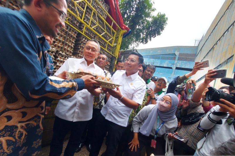 1662388727710418.jpeg Mendag-NFA gelar operasi pasar telur Rp27 ribu per kg.jpeg