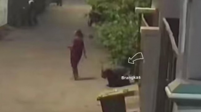 1662970001514678.jpeg 8.jpeg