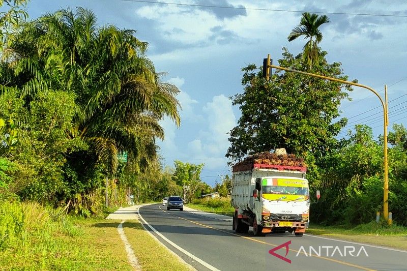 1663581094907379.jpg Pertamina Angkutan industri sawit wajib gunakan BBM nonsubsidi.jpg