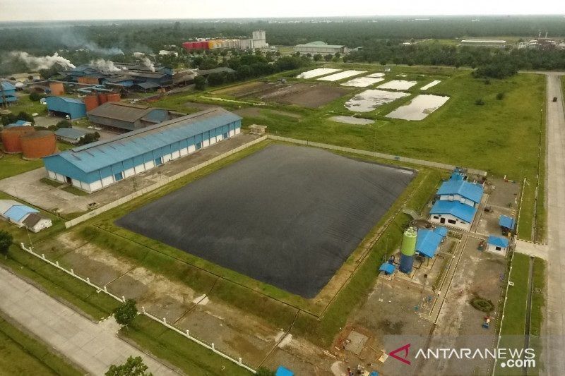 1663726471438903.jpg Riau undang investor olah limbah sawit untuk pakan ternak.jpg