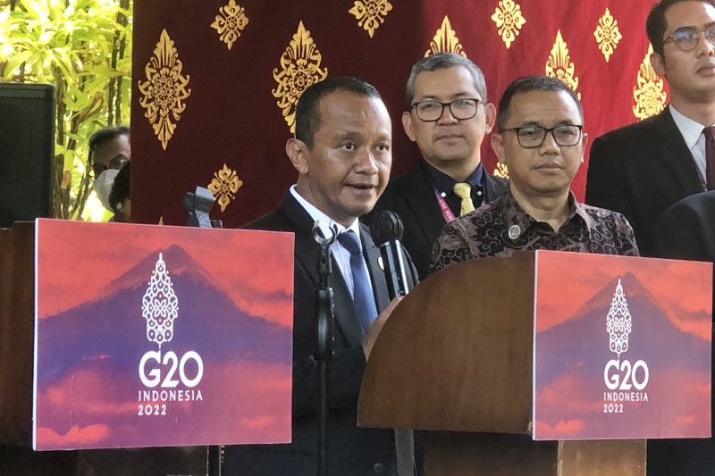 在 G20 TIIMM会议 投资部门产生巴厘纲要