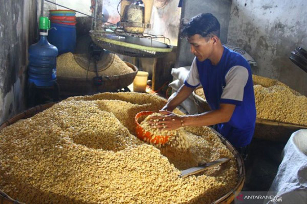 1648476971427886.jpg CIPS nilai pembatasan impor kedelai berpengaruh pada konsumen.jpg