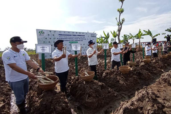 1649081418140228.jpg PTPN IX - Pemkab Batang kerja sama perluasan areal tanam tebu.jpg