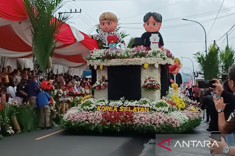 新加坡准备进口托莫洪市农民生产的菊花