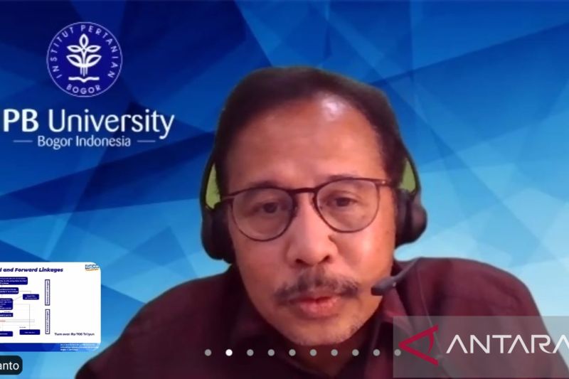 1655108024426361.jpeg Industri unggas nasional dapat tantangan biaya pakan.jpeg